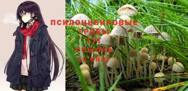 а пвп мука Лабытнанги