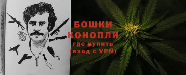 гидра Лагань
