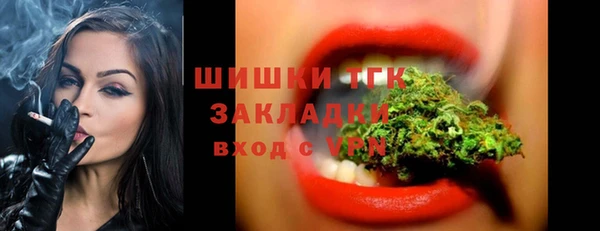 гидра Лагань