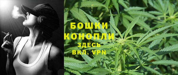 гидра Лагань