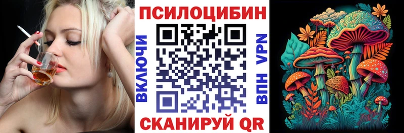 Купить  Бирюч  Псилоцибиновые грибы Cubensis 
